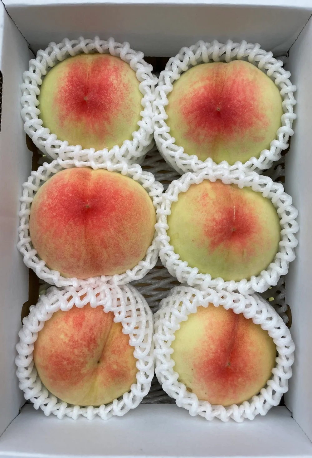 箱に並んだあかつき