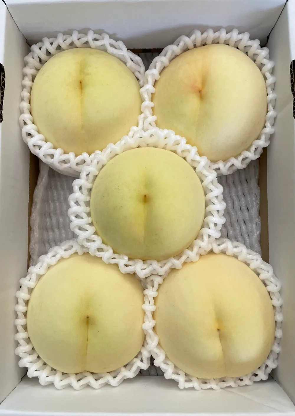 箱に並んだ白皇